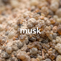 Soft Musk Incense